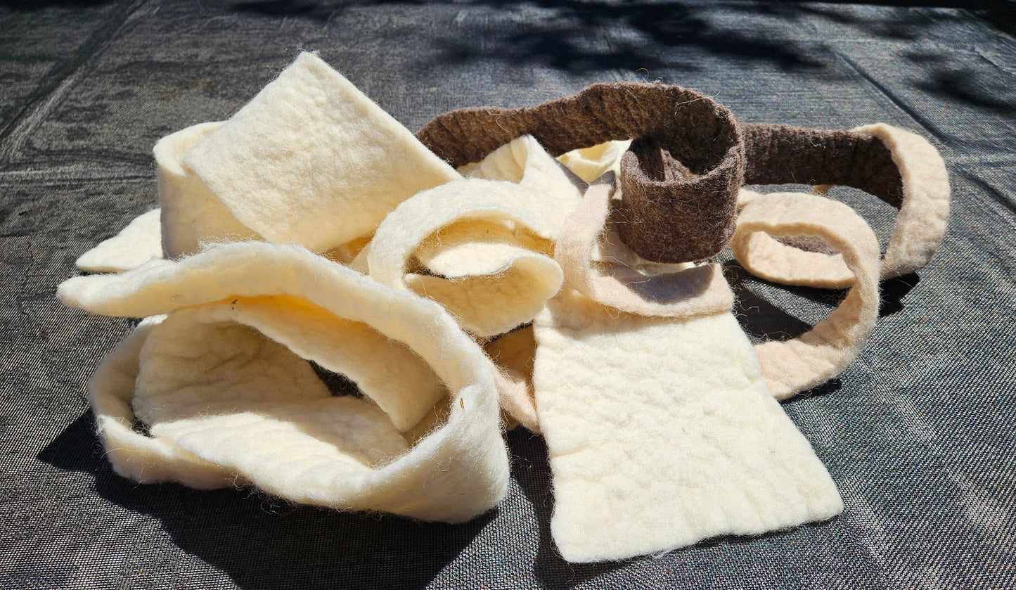 Wool felt pieces