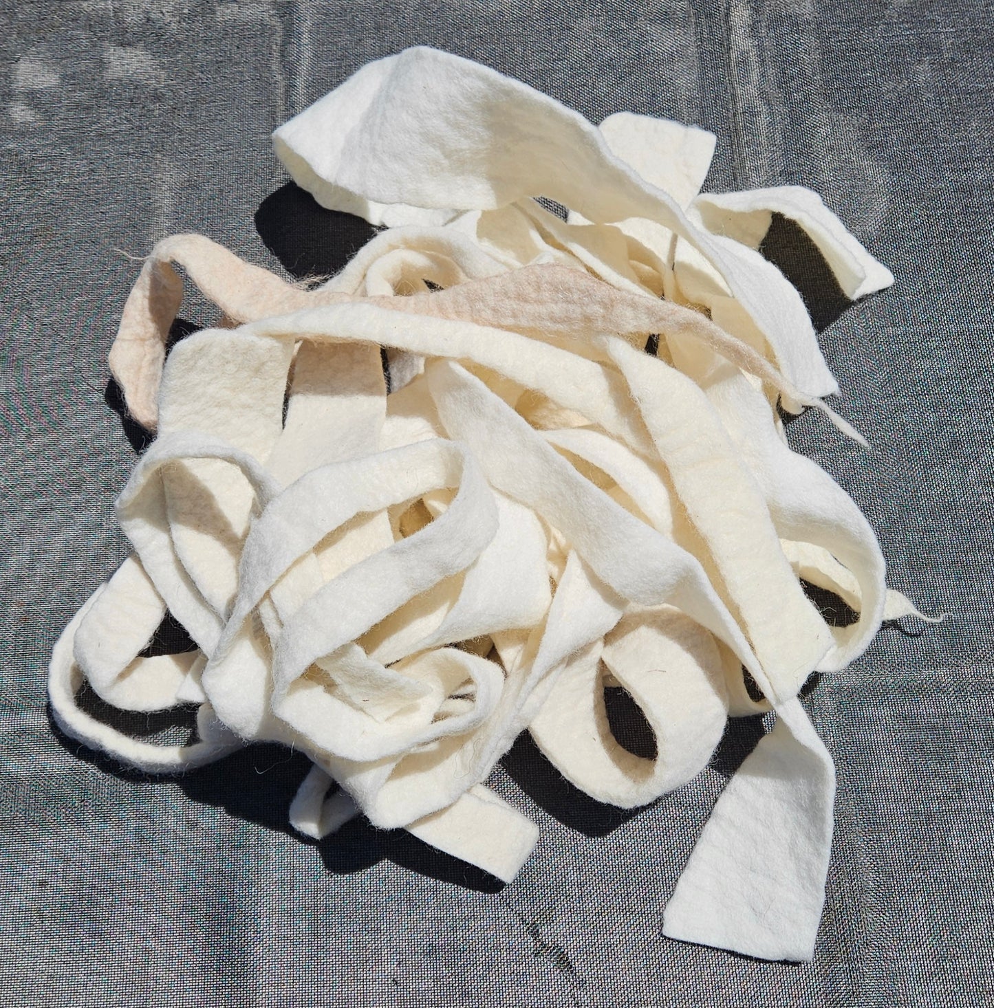 Wool felt pieces