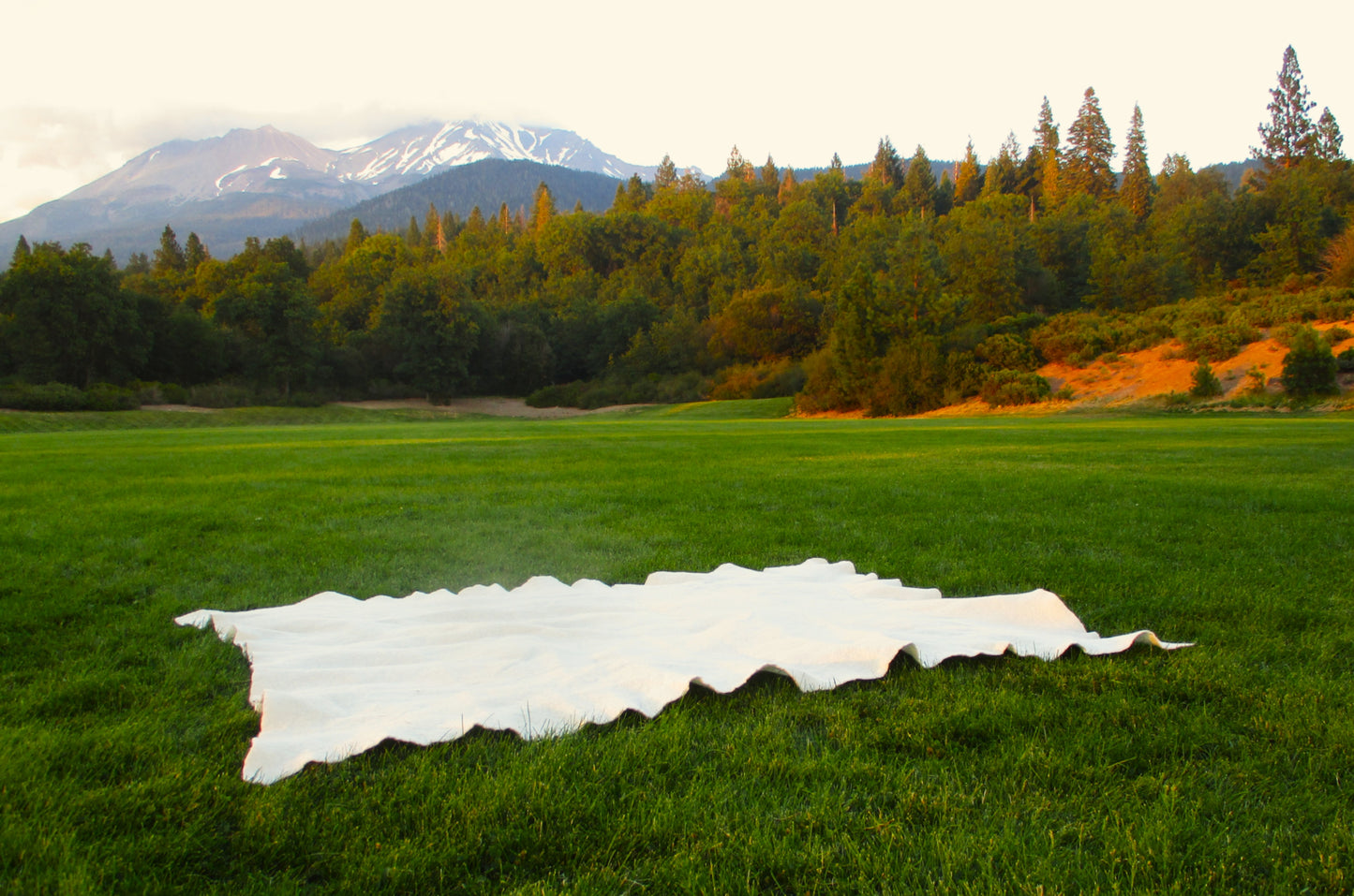 Wool felt mattress protector